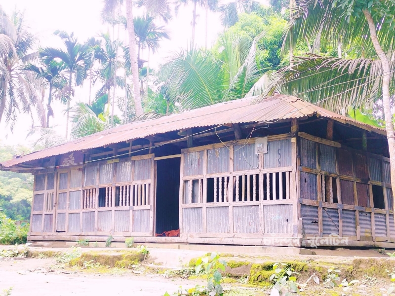 কালের বিবর্তনে হারিয়ে যাচ্ছে জীবনের প্রথম শিক্ষা প্রতিষ্ঠান—গ্রাম বাংলার কাচারি ঘর